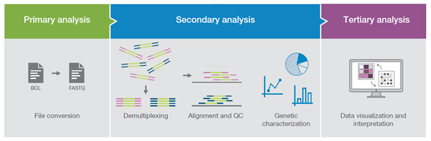 https://www.rna-seqblog.com/learn-more-about-available-bioinformatics-tools-and-pipelines-to-analyze-rna-sequencing-data/